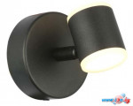 Спот ST Luce Formolla SL1597.401.01
