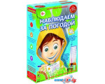 Набор для опытов Bondibon Науки с Буки Наблюдаем за погодой ВВ1178