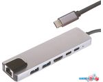 Док-станция Perfeo USB Type-C 6in1 PF-Type-C-13