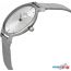 Наручные часы Skagen SKW2149 в Бресте фото 1