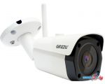 IP-камера Ginzzu HWB-5301A в Гомеле