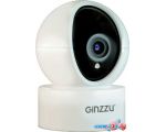 купить IP-камера Ginzzu HWD-2301A