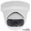 IP-камера Hikvision DS-2CD2345G0P-I в Могилёве фото 1