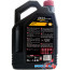 Моторное масло Motul 8100 Eco-clean 0W-30 5л в Могилёве фото 1