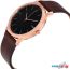 Наручные часы Skagen SKW6330 в Бресте фото 1