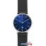 Наручные часы Skagen SKW6471 в Могилёве фото 1