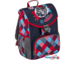 Рюкзак Erich Krause ErgoLine 15L Funny Racoon 48340