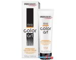 Крем-краска для волос Prosalon Professional Color art Permanent colour cream 4/07 (палисандр)