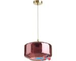 Подвесная люстра Odeon Light Binga 4782/1