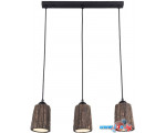 Подвесная люстра Lussole Loft Hauppauge GRLSP-9863