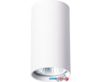 Точечный светильник Arte Lamp Unix A1516PL-1WH