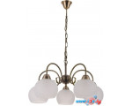 Подвесная люстра Arte Lamp Margo A9317LM-5AB