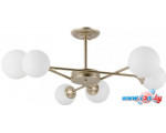 Люстра средней высоты Arte Lamp Marco A2703PL-6SG