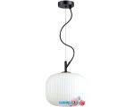 Подвесная люстра Odeon Light Roofi 4753/1