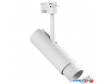 Трековый светильник Lightstar Fuoco 215246