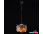 Подвесная люстра MW-Light Гослар 498015203