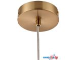 Подвесная люстра Arte Lamp Cameron A7720SP-1AB