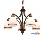 Подвесная люстра Arte Lamp Bonito A9518LM-5BA