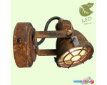 Спот Lussole LOFT GRLSP-9802