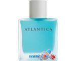 Dilis Parfum Atlantica Alpha&Omega EdT 100 мл в Витебске