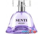 купить Dilis Parfum Senti Soar EdP 50 мл