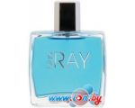 Dilis Parfum Blue Ray EdT 100 мл