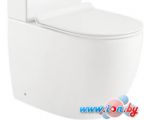 Унитаз BelBagno Sfera-R BB2141CPR