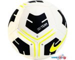 Мяч Nike Park Team CU8033-101 (5 размер, белый/черный)