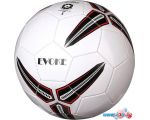 Мяч Indigo Evoke 1133 (5 размер)