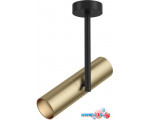 Точечный светильник Maytoni Elti C020CL-01GB