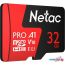 Карта памяти Netac P500 Extreme Pro 32GB NT02P500PRO-032G-S в Гродно фото 1