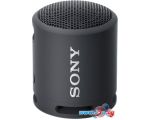 купить Беспроводная колонка Sony SRS-XB13 (черный)