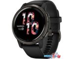 Умные часы Garmin Venu 2 (сланцевая нержавеющая сталь/черный)