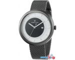 Наручные часы Daniel Klein DK12296-4