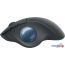 Трекбол Logitech MX Ergo M575 (графитовый) в Гродно фото 1