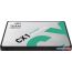 SSD Team CX1 240GB T253X5240G0C101 в Гомеле фото 1