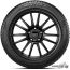 Автомобильные шины Pirelli Cinturato Winter 2 225/50R17 98V в Бресте фото 2