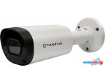 CCTV-камера Tantos TSc-P1080pUVCv (2.8-12)