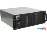Корпус Procase RE411-D11H0-C-48