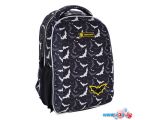 Школьный рюкзак Astra Night bats 501022002 (черный) цена