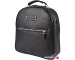 Городской рюкзак Carlo Gattini Classico Arcello 3083-01 (черный)