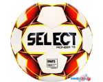 Футбольный мяч Select Pioneer Tb (5 размер, белый/красный) цена