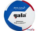 Волейбольный мяч Gala Pro-Line 12 BV 5595 SA (размер 5, белый/красный/голубой)