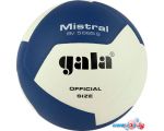 Волейбольный мяч Gala Mistral 12 BV 5665 S (размер 5, белый/синий)