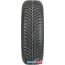 Автомобильные шины Goodyear Vector 4Seasons 195/55R16 87H в Бресте фото 3