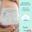 Подгузники Pampers Premium Care 1 Newborn (66 шт) в Могилёве фото 4