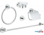 Набор для туалета Grohe Essentials 40344001