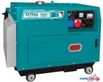 Дизельный генератор Total TP250003-1