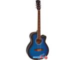 Акустическая гитара Elitaro E4020 BLS цена