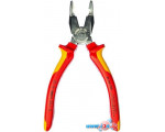 Плоскогубцы Knipex KN-0106190